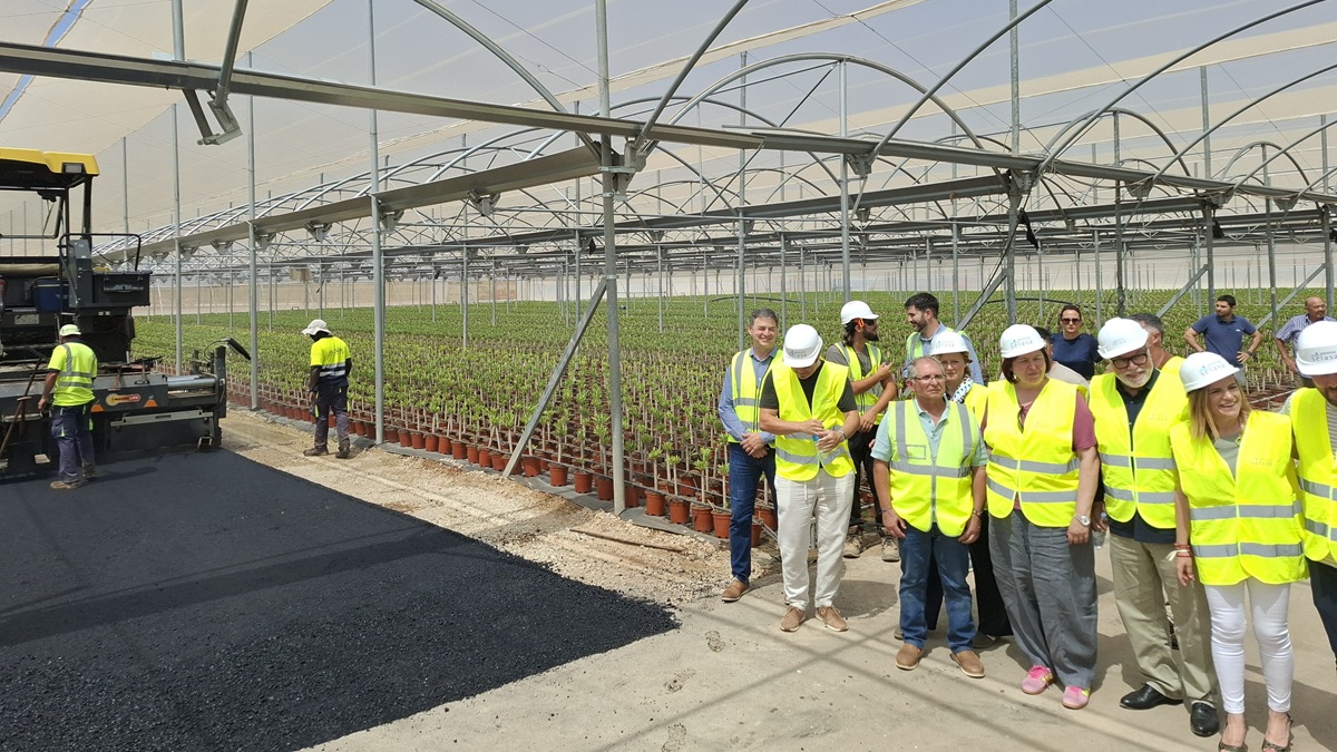 Asfplant constata el avance en la recuperación de los viveros afectados por la DANA